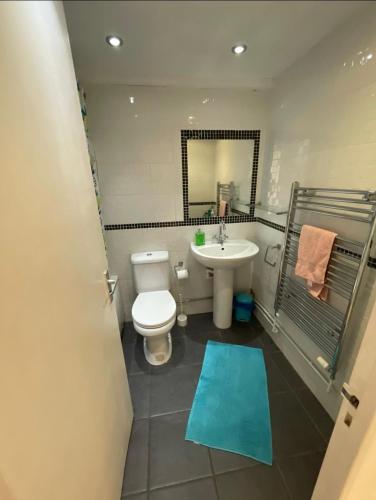 a bathroom with a toilet and a sink and a mirror at City Centre 2 Bedrooms Apartments - Prime Location - next to Hilton Hotel - Victoria Centre Apartments in Victoria Centre Shopping Centre - 24 Hours Access - Parking Cars or Vans from Five Pounds a Day - Sunday 1pm Check-Out in Nottingham