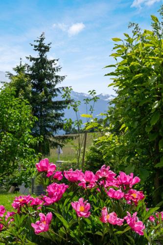 The Mountain View Innsbruck