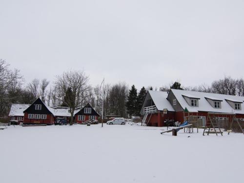 a group of houses with snow on the ground at Pyttegården Apartments in Gudhjem