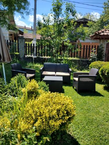 Zahrada ubytování Villa Diva
