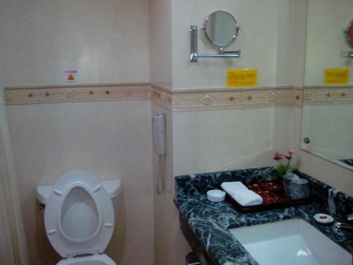 a bathroom with a toilet and a sink and a mirror at Lijiang Liwang Hotel in Lijiang