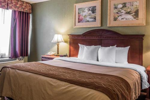 a bed in a hotel room with a large bed at Quality Inn & Suites Ann Arbor Hwy 23 in Ann Arbor