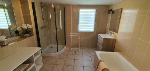 a bathroom with a tub and a shower and a sink at Château de Montmireil in Canisy