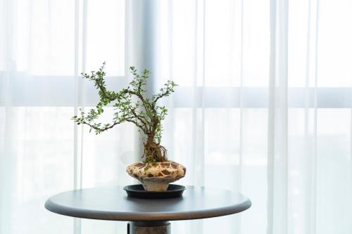 a vase on a table in front of a window at Yuexuan Hotel Chongqing Jiefangbei Hongyadong Branch in Chongqing