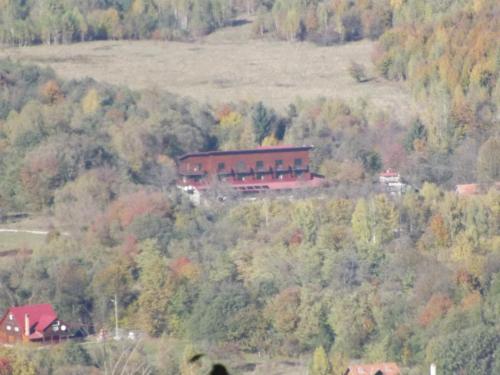 a large house on top of a hill with trees at Pensiunea ANA Vistisoara in Vistisoara