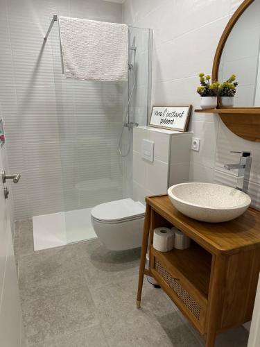 une salle de bain avec un lavabo et des toilettes dans l'établissement les pins, à Chambonas