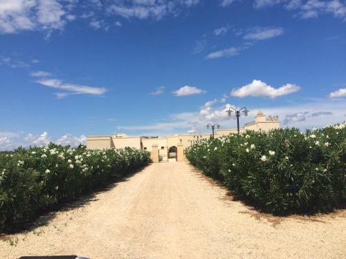 Photo de la galerie de l'établissement Masseria San Polo, à Squinzano