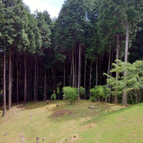 ヴィラの近くで見られる自然の景観