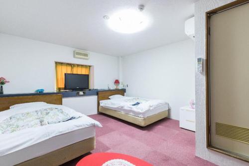 a bedroom with two beds and a tv in it at Tabist Joetsu Central Hotel Takada Nakamachi in Joetsu