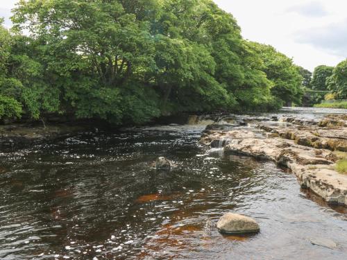 a river with rocks in the water and trees at Doonalton House in Carrowmably