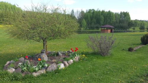 a garden with a tree and flowers in a field at Country Houses Vidų Sodyba in Utena