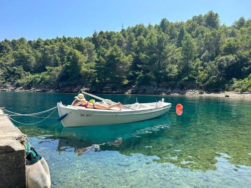 Renovated stone villa on the island Rava, Zadar