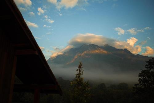 a view of a mountain with a foggy valley at Ruedufon- Private Nature Retreat in Chiang Dao in Ban Tham