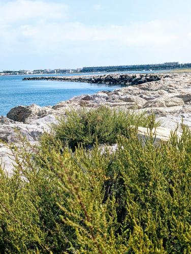a view of the ocean from a rocky beach at Les Spas de la mer, Appart&Spa Canopée, 100m de la plage, Love Room in Le Grau-du-Roi