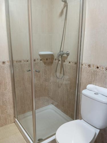 a bathroom with a shower and a toilet at Hostal Casa Pancho in Sangonera La Seca