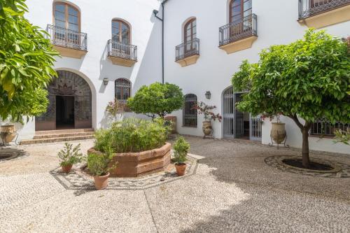Cordoba COol Vailima