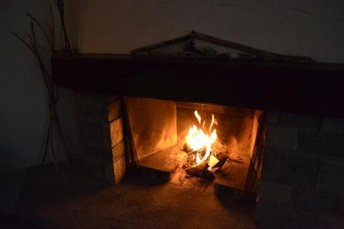 Arcula photo 3