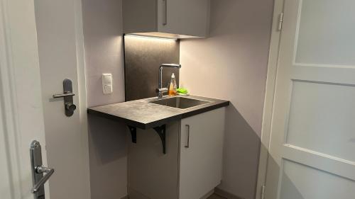 Køkken eller tekøkken på Ignaz 28 Apartment#1