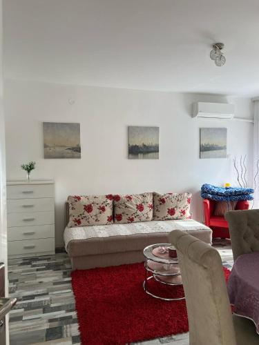 a living room with a couch and a red rug at Loznica Centar Apartman in Loznica