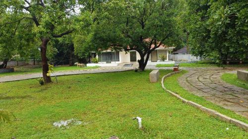 a dog standing in the grass in a park at kmslegacy in Jāmb