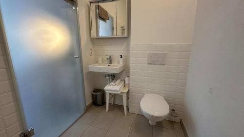 een kleine badkamer met toilet en wastafel bij Ignaz 28 Apartment#2 in Salzburg