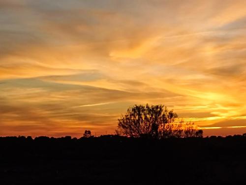 a sunset with a tree in the foreground at Casa da Vila in Mourão