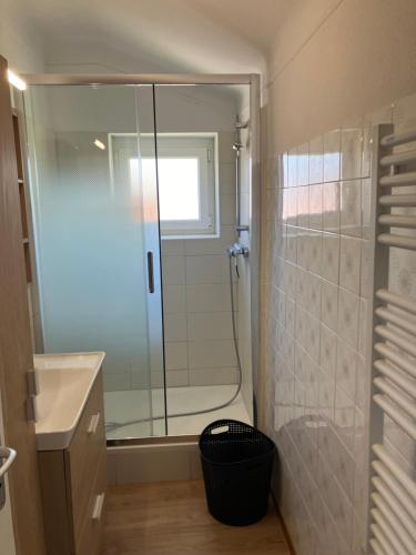une salle de bain avec une douche en verre et un lavabo dans l'établissement Gîte Espinasse, à Soustons