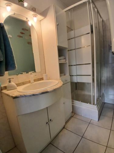 une salle de bain avec un lavabo et une douche dans l'établissement Paisible appartement à deux pas de la Plage, à Saint-Hilaire-de-Riez