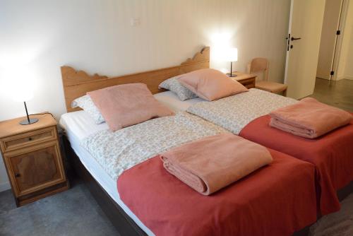 two beds sitting next to each other in a bedroom at Vakantiewoning Het Wielje Maasland in Kinrooi
