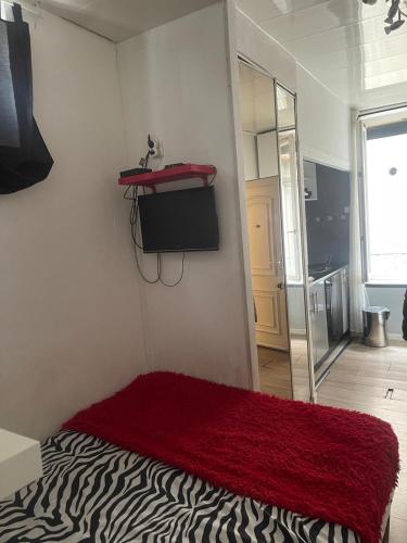 - une chambre avec un lit et un tapis rouge sur le mur dans l'établissement Petit Studio en plein centre, à Clermont-Ferrand