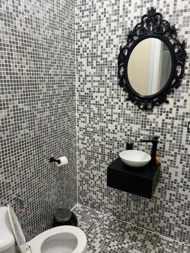 a bathroom with a sink and a toilet and a mirror at Vila Selena in Onceşti