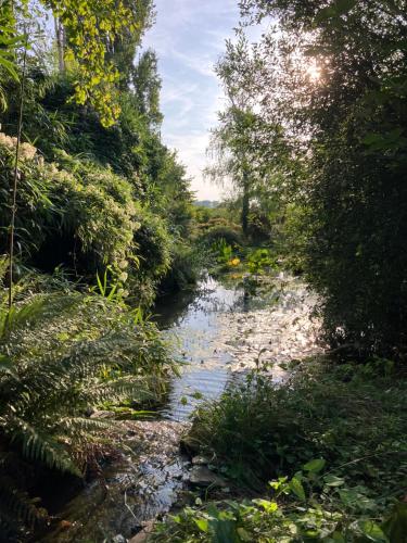 a small stream in the middle of a forest at Maison de vacances avec piscine chauffée, jacuzzi et jardin privé - proche circuit des 24h du Mans in Saint-Christophe-en-Champagne