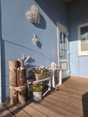 a blue wall with two potted plants on a porch at Gemütliche, ruhige Dachwohnung in Lütow für bis zu 4 Personen in Lütow