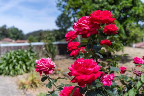 Κήπος έξω από το Casa Fermil do Lago