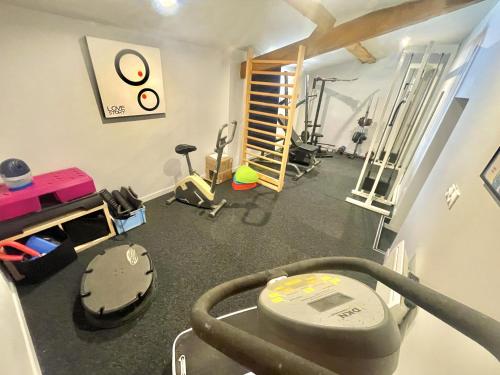 a room with a gym with a treadmill and weights at " Ô Chai Nous " 14 pers - Billard, Babyfoot - Structure de Jeux in Poucharramet