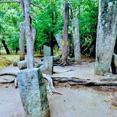 Un paisaje natural cerca de la casa de huéspedes
