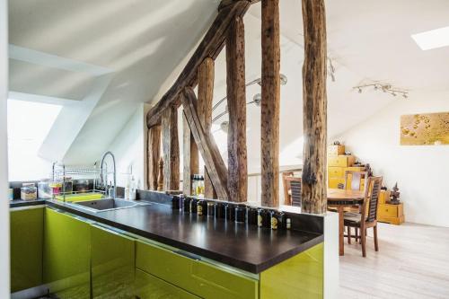une cuisine avec des armoires vertes et un évier dans l'établissement Coeur de Paris sous les toits, à Paris