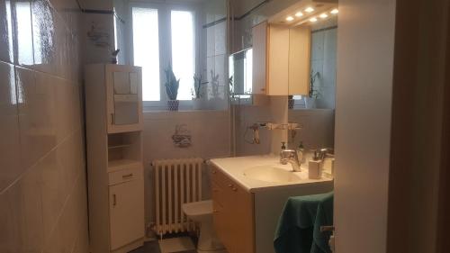 une salle de bain avec un lavabo, des toilettes et un miroir dans l'établissement Gîte de Malessard, à La Celle-Guénand