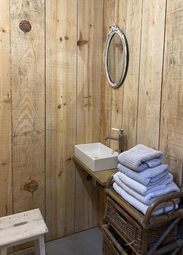 une salle de bain avec un lavabo, un miroir et des serviettes dans l'établissement Le logis de la Grange aux Gîtes de l'Etang des Noues,, à Cholet