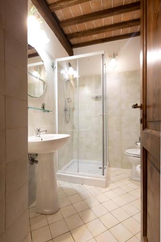 a bathroom with a shower and a sink and a toilet at Agriturismo Il Sasso in Anghiari