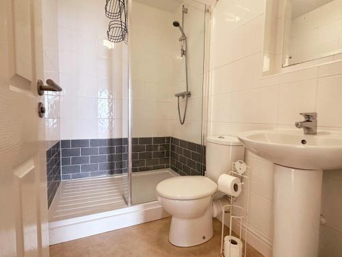 a bathroom with a toilet and a sink and a shower at Harbour View in Ilfracombe