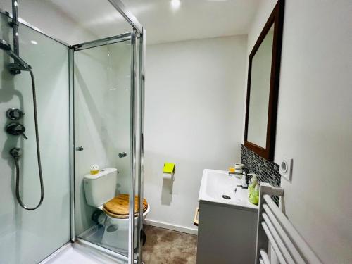 une salle de bain avec une douche, des toilettes et un lavabo dans l'établissement À 2 pas de la mer, ferry et intra muros - Saint Malo, à Saint-Malo