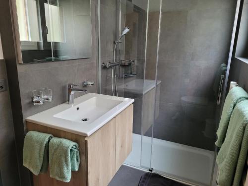 een badkamer met een wastafel en een douche bij Haus Perle in Saas-Fee