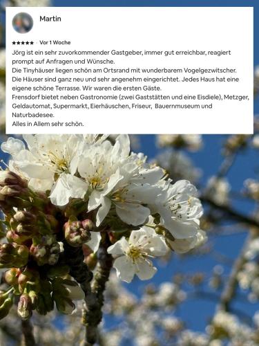 a picture of a tree with white flowers at NEU - Feinzeit Chalet mit privater Sauna in Frensdorf