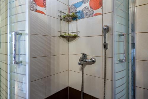 a shower stall with two plants on the wall at Maria's Sea View Apartments in Mousata