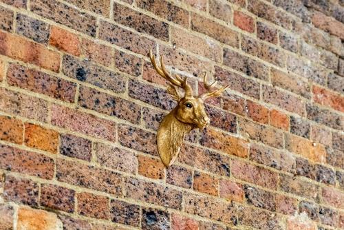a deer head with antlers hanging on a brick wall at 3BR Glebe Retro Jungle Escape Near Darling Harbour in Sydney
