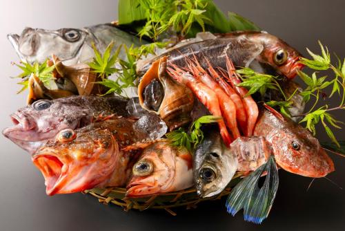 a pile of fish in a basket with carrots at 神通峡春日温泉ゆーとりあ越中 in Toyama