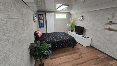 ein Schlafzimmer mit einem Bett und einem Fernseher in der Unterkunft Villa Neves in Saint-Cyr-sur-Loire