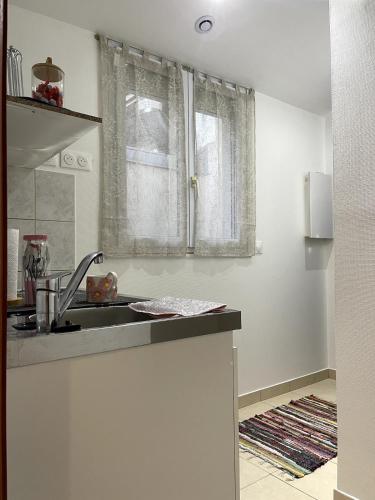 une cuisine avec un évier et une fenêtre dans l'établissement Cocon Paisible a Ivry, à Ivry-sur-Seine