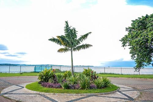 a palm tree in a circle in a park at The Greige 3 Lakeside Condo in Entebbe in Entebbe